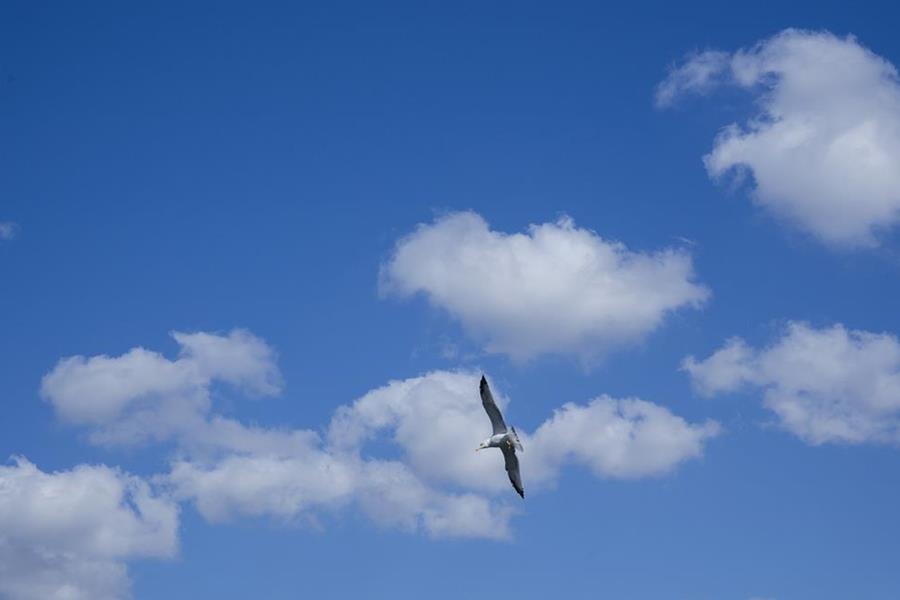 sky-2873063_1280.jpg